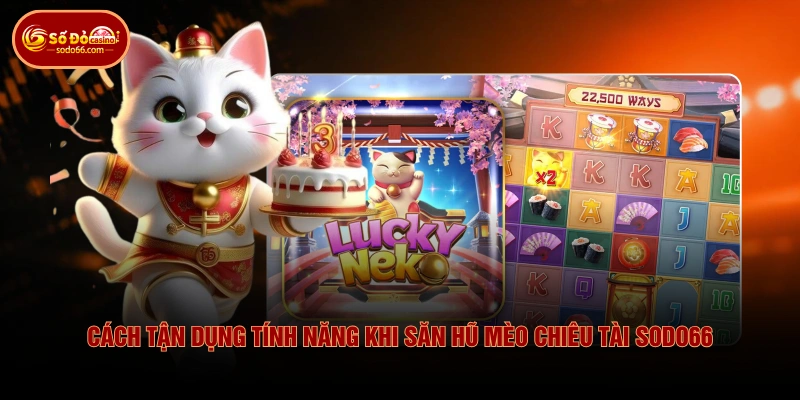 Cách tận dụng tính năng khi săn hũ mèo chiêu tài SODO66